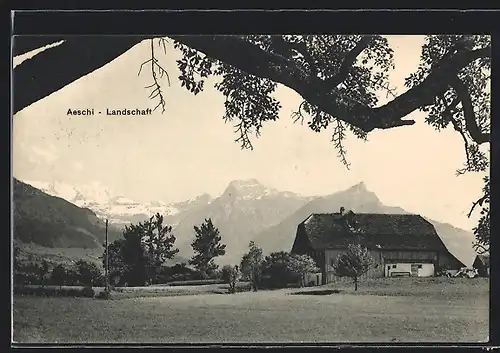 AK Aeschi, Landschaft mit Bergen