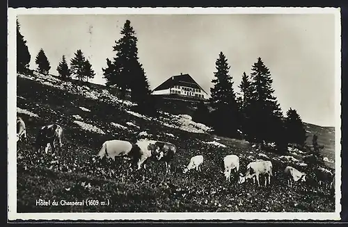 AK Chasseral, Hotel du Chasseral mit Kuhweide