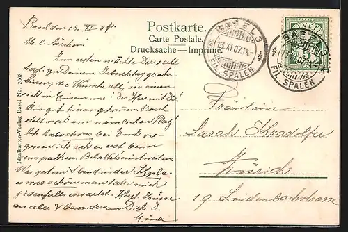 AK Basel, Münster mit Pfalz und Rheinbrücke