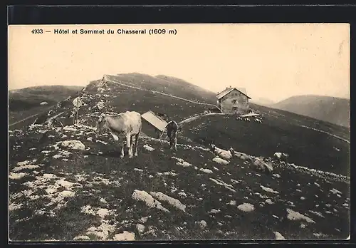 AK Chasseral, Hotel et Sommet, une groupe de vaches