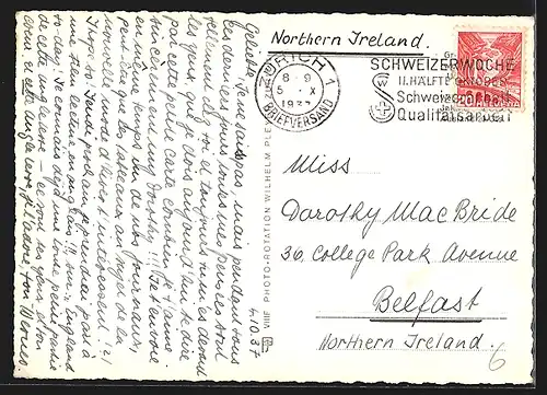 AK Zürich, Segelboote auf dem Zürichsee