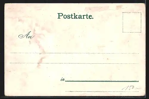 Lithographie Schandau, Schlossbastei, Raddampfer