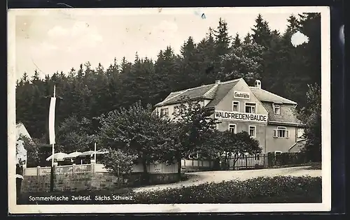 AK Zwiesel /Sächs. Schweiz, Gasthaus Waldfrieden-Baude