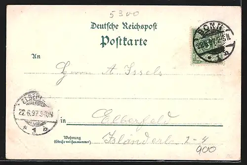 Lithographie Bonn, Arndt-Denkmal, Poppelsdorfer-Allee, Münsterkirche, Universität um 1900