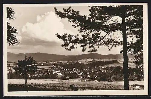 AK Friedland, Blick auf die Ortschaft von erhöhtem Blickwinkel