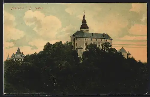 AK Friedland, Blick auf Schloss mit umgebender Begrünung