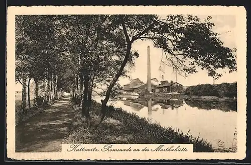 AK Kattowitz, Promenade an der Marthahütte