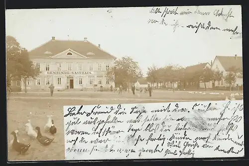 Foto-AK Werningshausen, Gemeinde-Gasthaus mit Gänsen