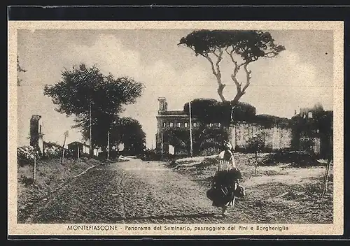 AK Montefiascone, Panorama del Seminario, passeggiata del Pini e Borgheriglia