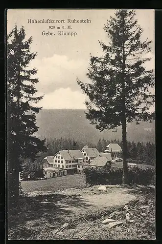 AK Baiersbronn, Hotel Ruhestein