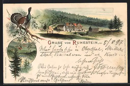 Lithographie Ruhestein /Schwarzwald, Gruss mit dem Wildsee