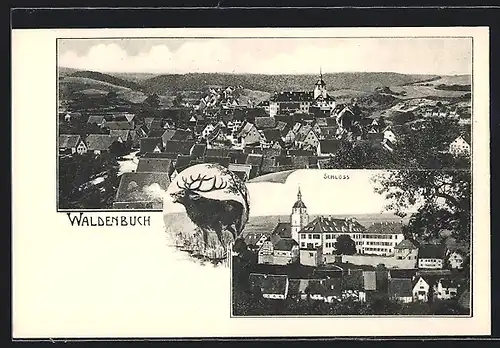 AK Waldenbuch, Gesamtansicht