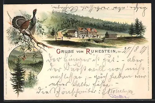 Lithographie Ruhestein, Fasan auf dem Ast, Partie am Ortsrand