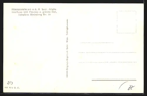 AK Hinterstein /Bayr. Allgäu, Totalansicht mit Gebirgskette, Gasthaus und Pension z. grünen Hut