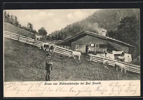 AK Bad Kreuth, Vieh auf der Hohensteinalpe vor einer Hütte