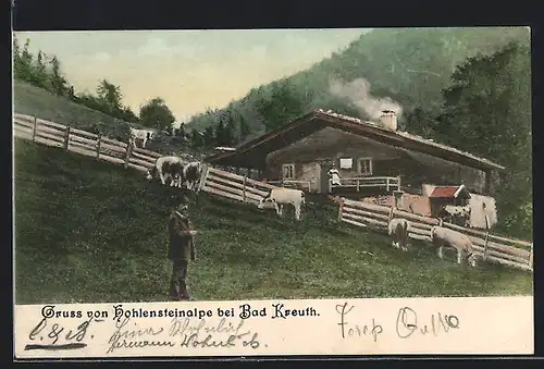 AK Bad Kreuth, Vieh auf der Hohensteinalpe vor einer Hütte