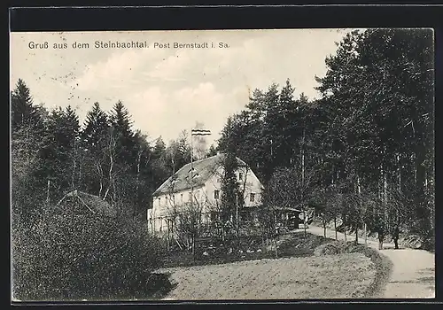 AK Bernstadt i. Sa., Wegpartie im Steinbachtal