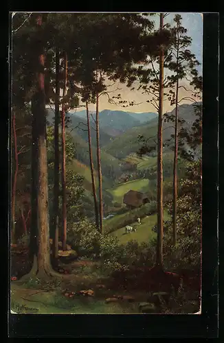 Künstler-AK Heinrich Hoffmann: Duchblick ins Tal