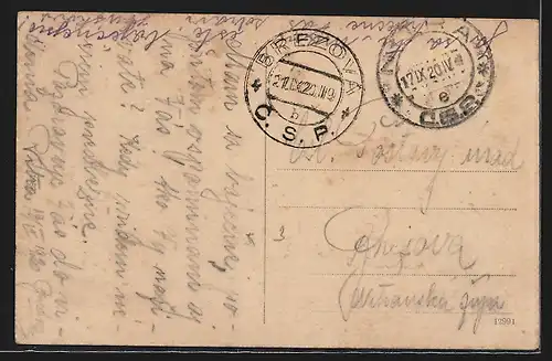 AK Nitra, Ortsansicht aus der Vogelschau