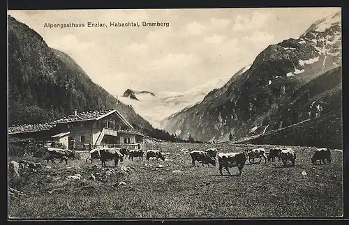 AK Bramberg, Alpengasthaus Enzian im Habachtal
