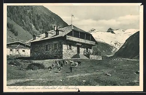 AK Bramberg, Gasthof Alpenrose im Habachtal