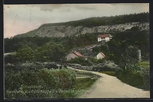 AK Bleicherode, Bleichtal, Waldschlösschen und Vogelbergklippen