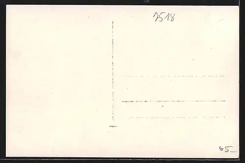 Foto-AK Bretten, Gänse im Schnee