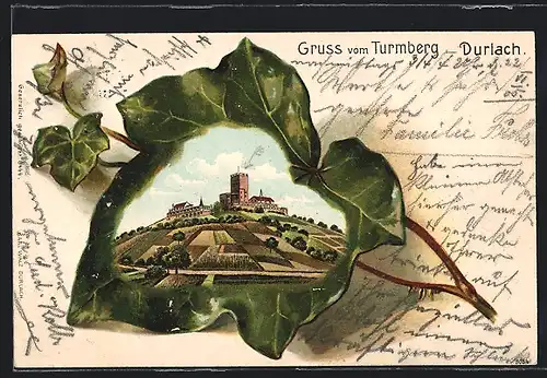 Lithographie Durlach, Turmberg mit Blatt