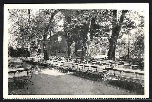 AK Offenbach a. M., Restaurant Stadtgarten