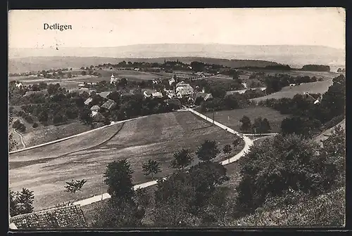 AK Detligen, Panoramablick von der Bergwiese aus