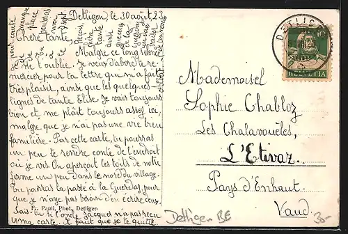 AK Detligen, Panoramablick von der Bergwiese aus