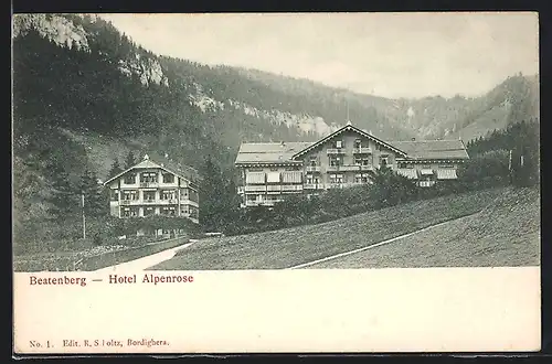 AK Beatenberg, Hotel Alpenrose