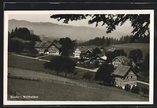 AK Sonder-Wolfhalden, Blick von der Bergwiese auf die Siedlung