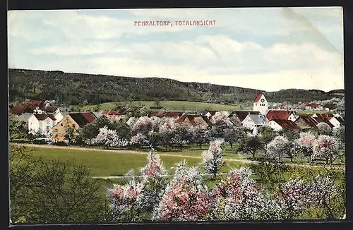 AK Fehraltorf, Totalansicht