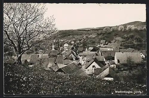 AK Wasterkingen, Teilansicht über Häuserdächer mit Umgebung