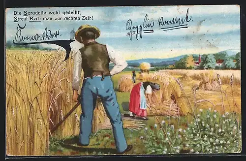AK Bauer bei der Ernte auf dem Feld, Reklame für Kali-Dünger