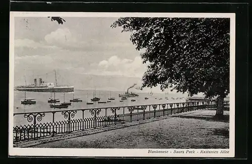 AK Hamburg-Blankenese, Kastanienallee in Baurs Park