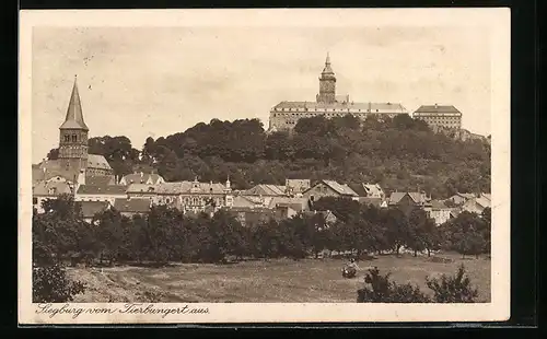 AK Siegburg, Blick vom Tierbungert aus gesehen