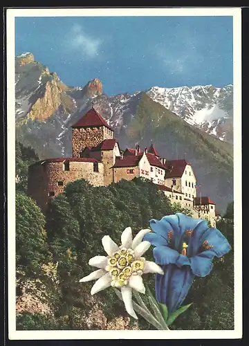 AK Vaduz, Castle Vaduz im Bergidyll