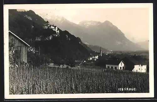AK Vaduz, Blick von Reben zum Ort mit Schloss