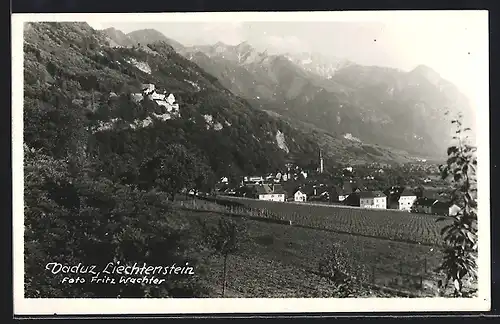 AK Vaduz, Teilansicht im Bergidyll