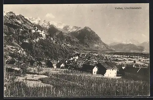 AK Vaduz, Ortsansicht im Bergidyll