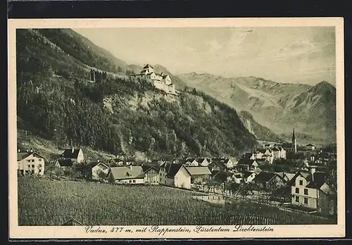 AK Vaduz, Teilansicht und Schloss gegen Rappenstein