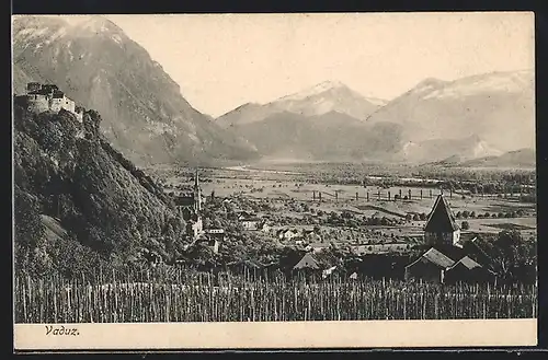 AK Vaduz, Blick von einem Feld auf das Rote Haus und das Schloss
