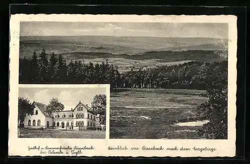 AK Oelsnitz i. Vogtl., Gasthof und Sommerfrische Süssebach, Blick nach dem Erzgebirge