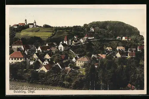 AK Sulzbürg, Obpf., Ortsansicht im Grünen