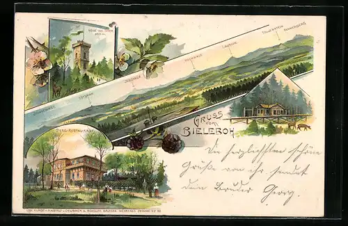 Lithographie Beiersdorf, Bieleboh, Berg-Restaurant, Höhe incl. Turm, Panorama mit Bergen