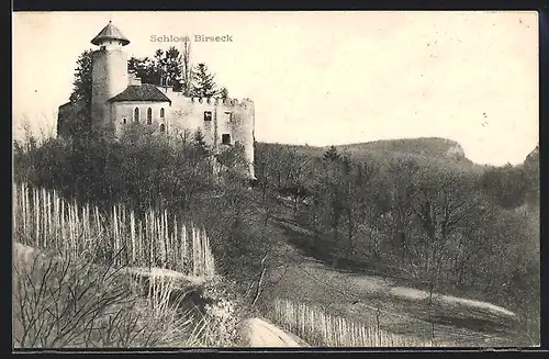 AK Birseck, Blick zum Schloss