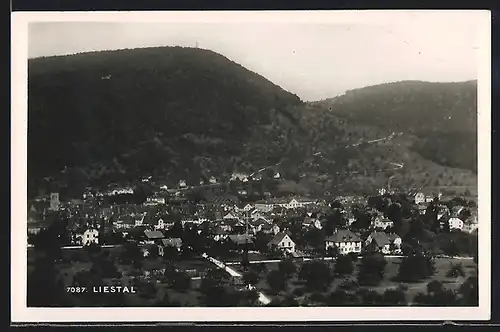 AK Liestal, Panorama aus der Vogelschau