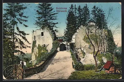 AK Birseck, Eingang zum Schloss